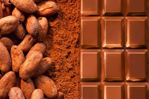 Chocolate Bean & Block